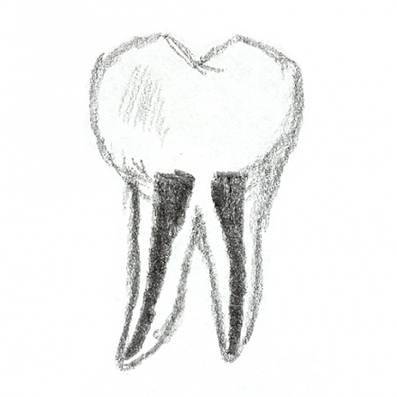 Endodoncia